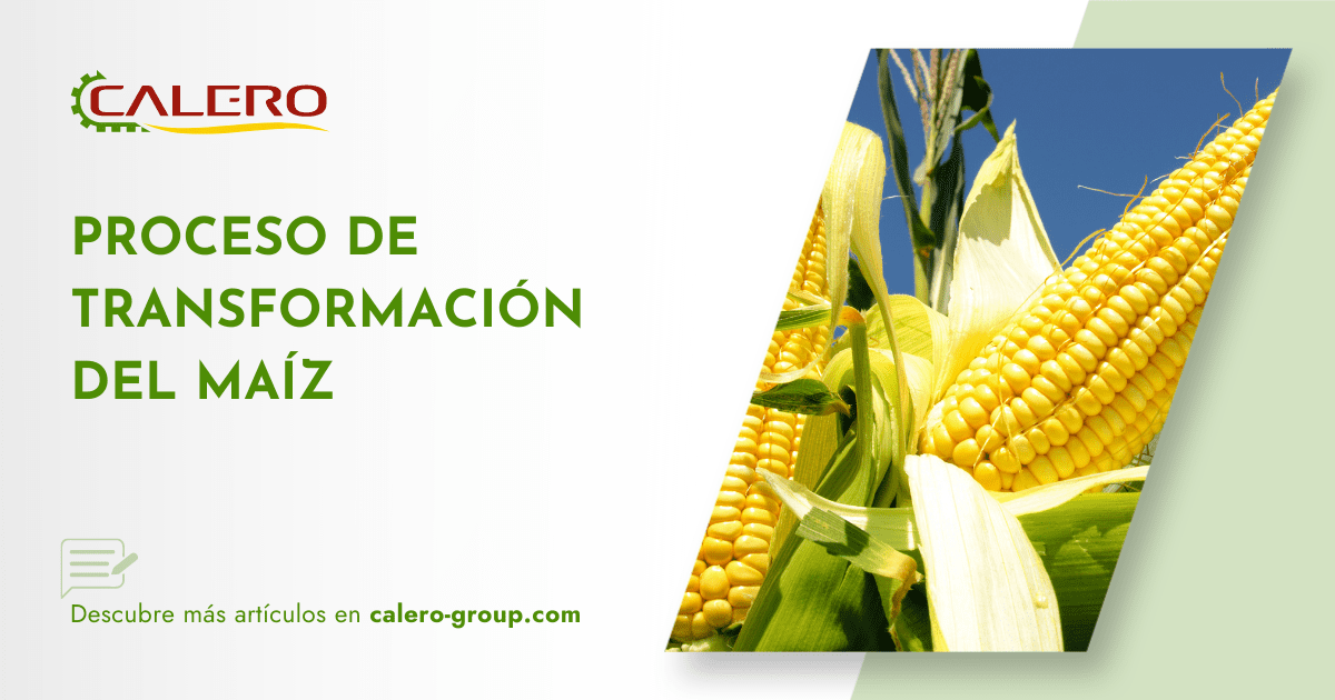 Maíz en procesos de fabricación de alimentos