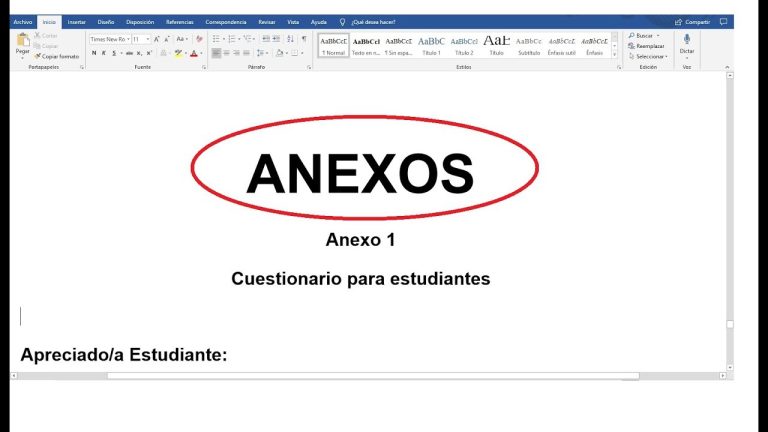 Los anexos se colocan antes o después de la bibliografía en un trabajo