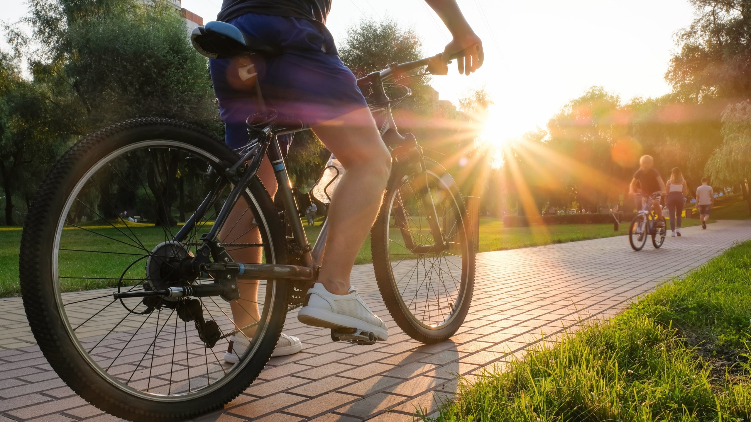 bicicleta
