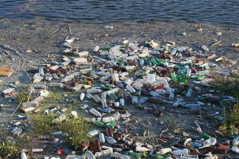 Botellas de plástico contaminando el medio ambiente