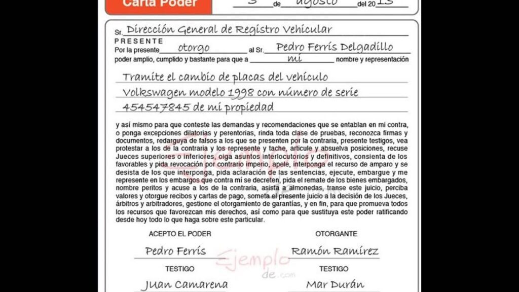 Carta Poder Para Dar De Baja Placas