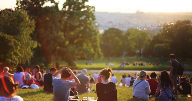 Cómo Puedo Ayudar al Medio Ambiente desde Casa y en Mi Comunidad