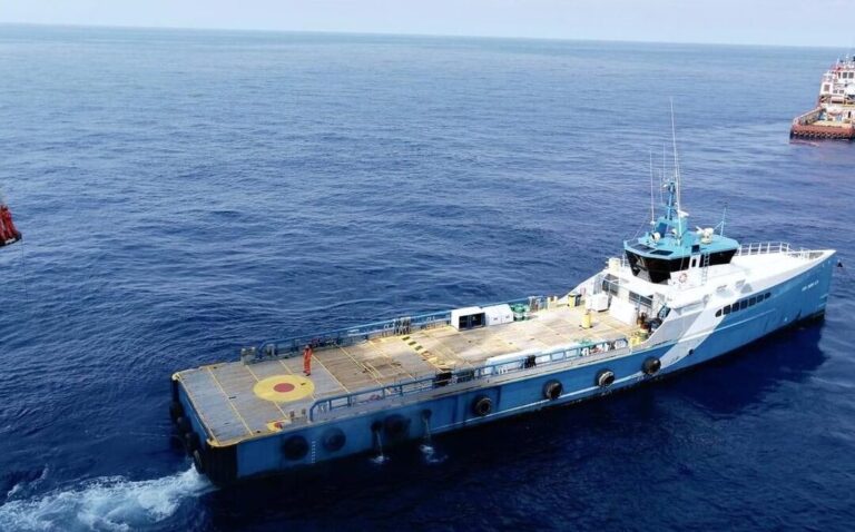 Descubre el costo de la libreta de mar tipo D en México