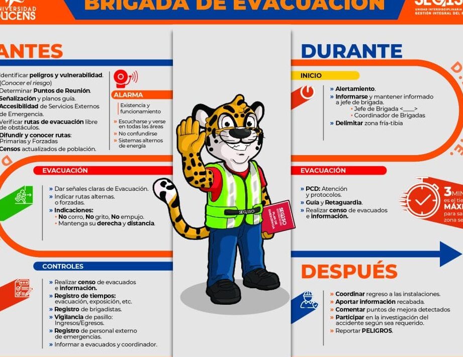 funciones de una brigada de busqueda y rescate en desastres