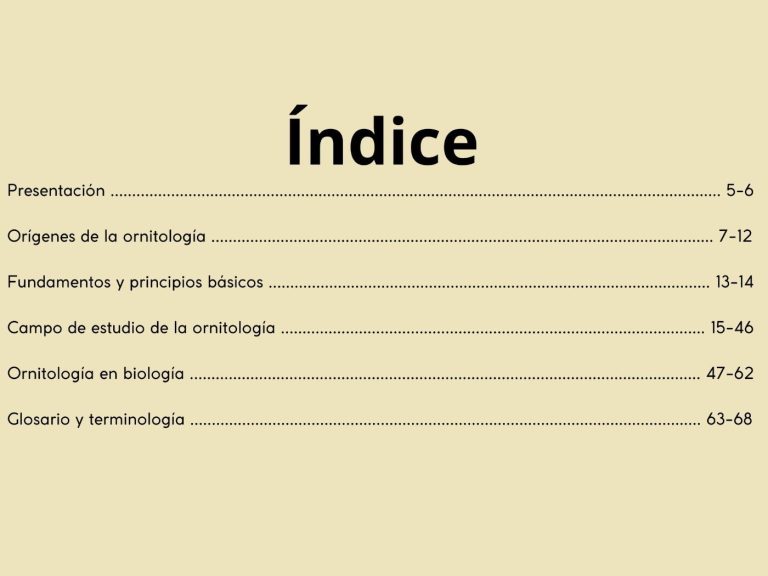 Para qué sirve el índice en un libro o documento