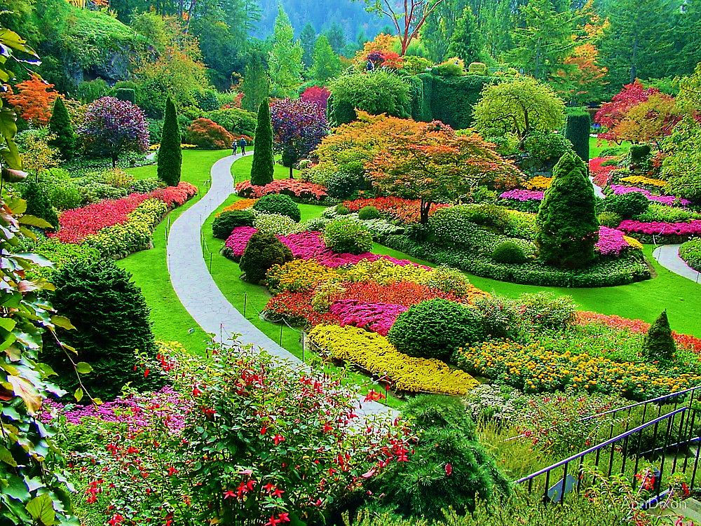 jardin