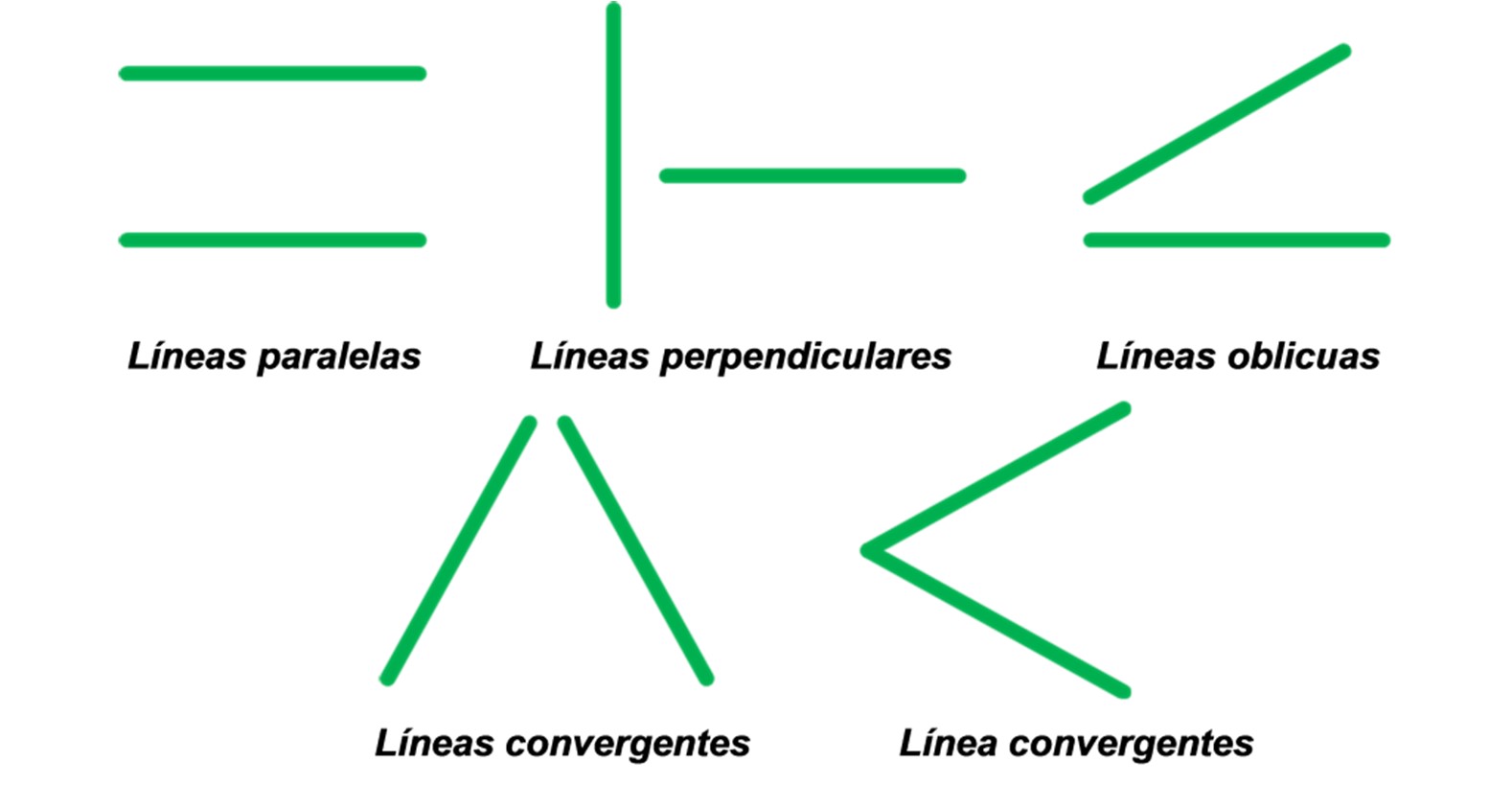 lineas