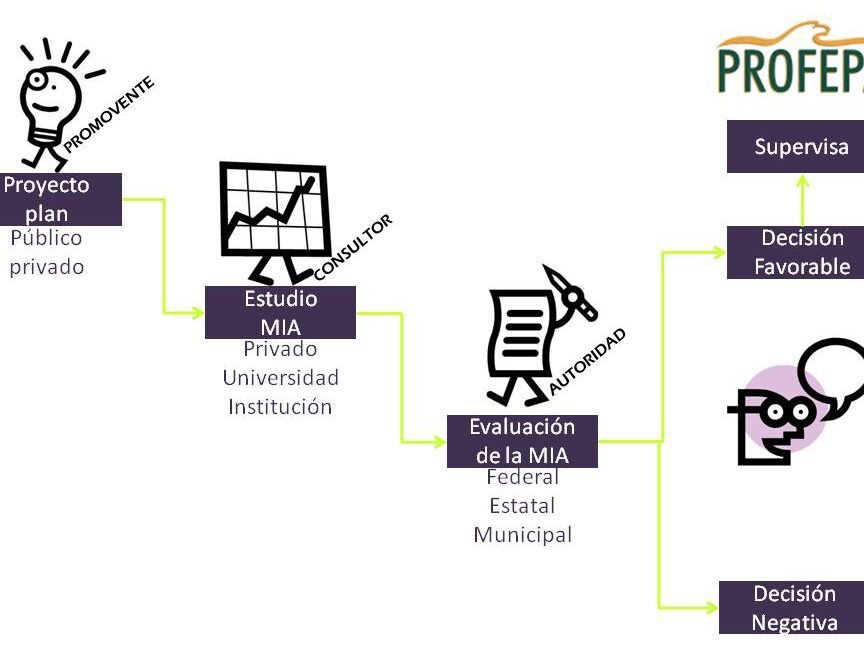 manifiesto de impacto ambiental que es y como se realiza