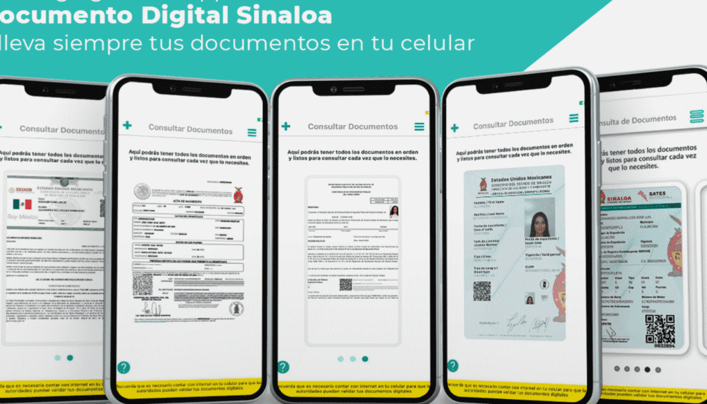 Guía Fácil Para Llenar Una Carta Poder Y Recoger Placas Vehiculares