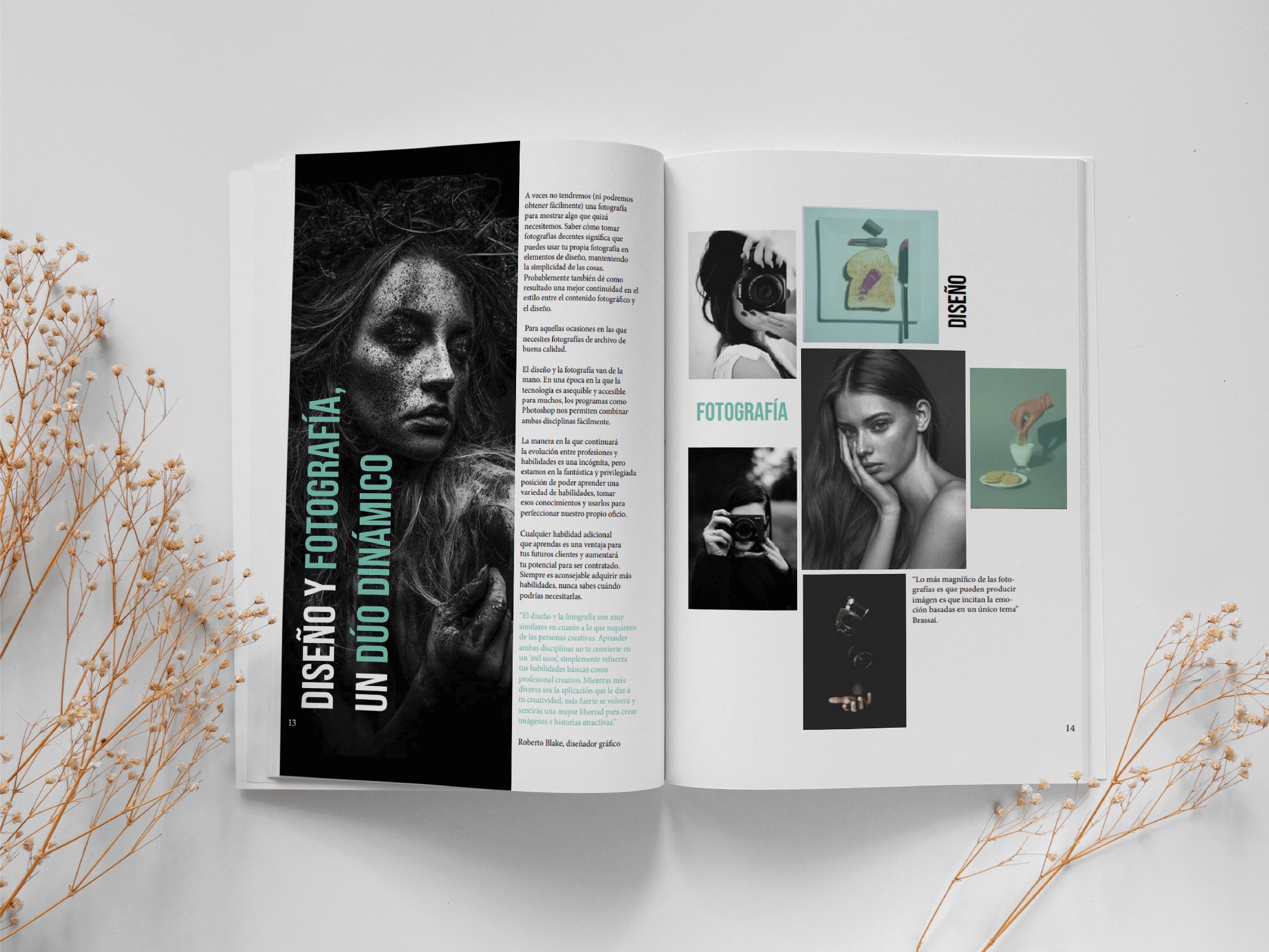 revista