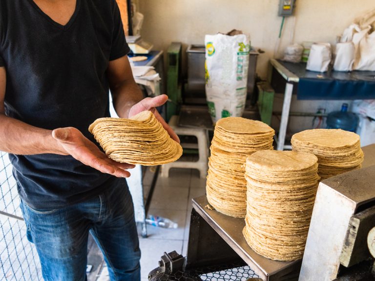 Cuánto dinero puede ganar el dueño de una tortillería en México