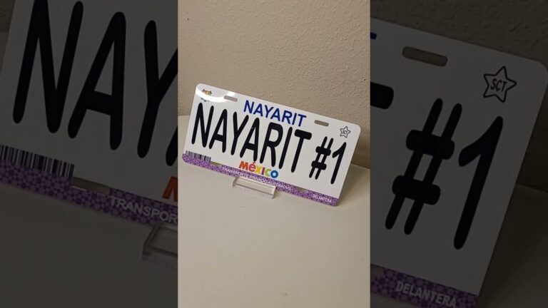 Trámite rápido y sencillo: Obtén las placas de moto en Nayarit